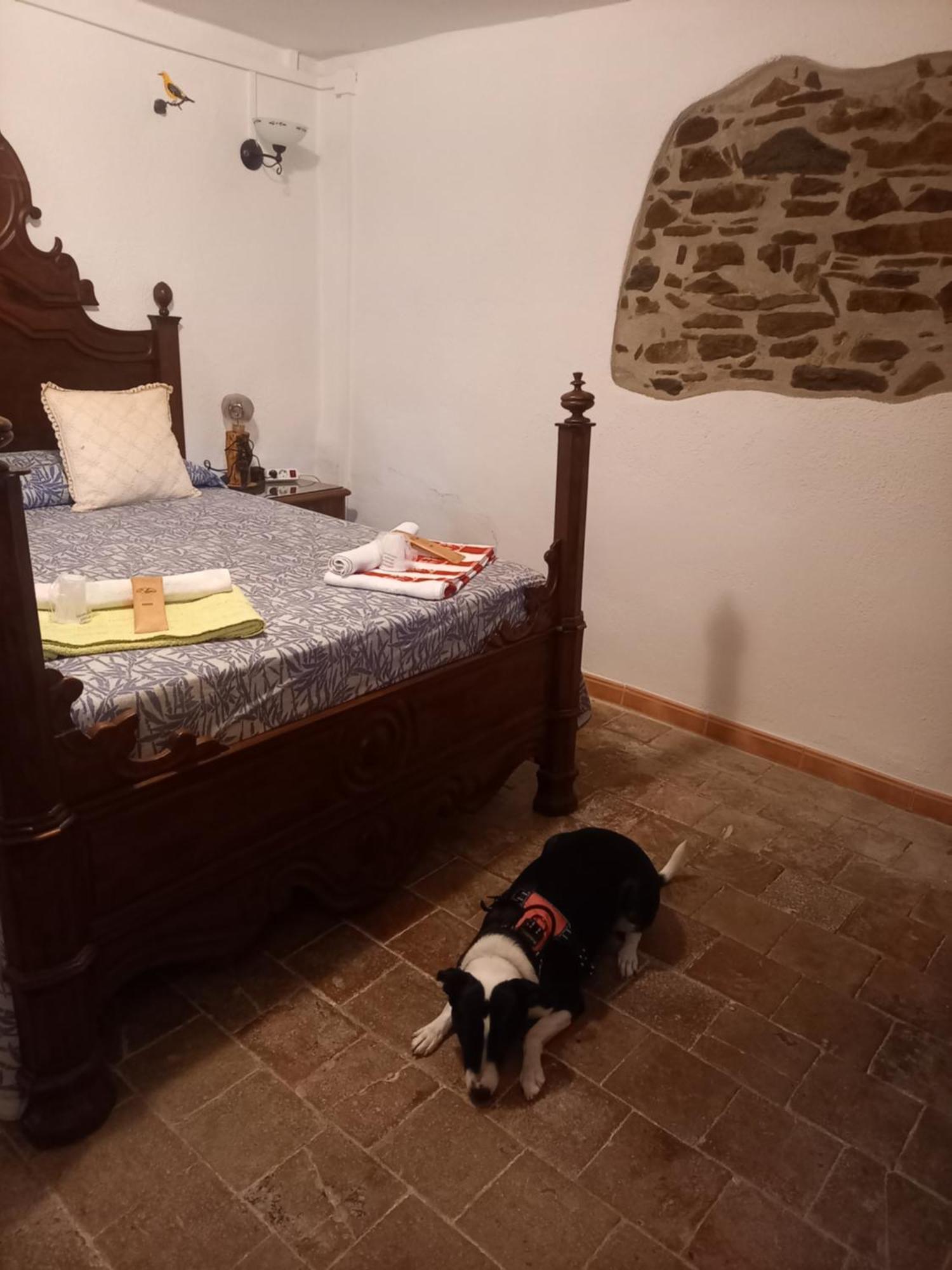 Hostal Rural Mas Blanc San Martin de Centellas Exterior photo